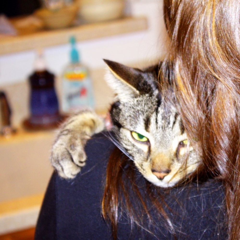 Meet your Posher, Sarah